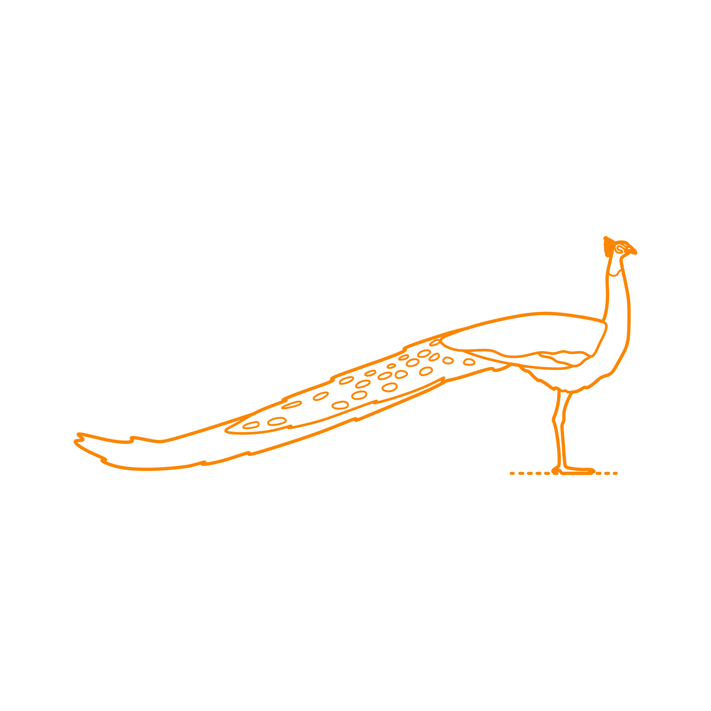 Animals Gamefowl Indian Peafowl Outline Svg File Free Vectors